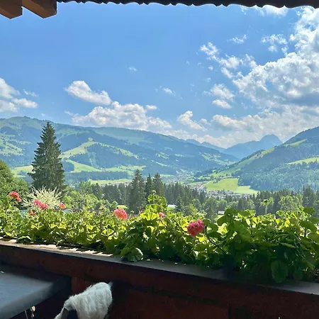 Anni Διαμέρισμα